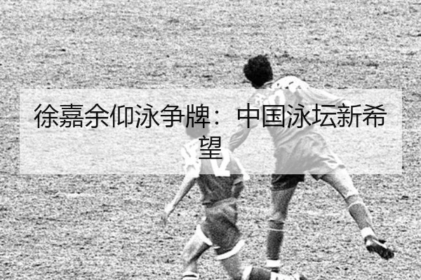 徐嘉余仰泳争牌：中国泳坛新希望